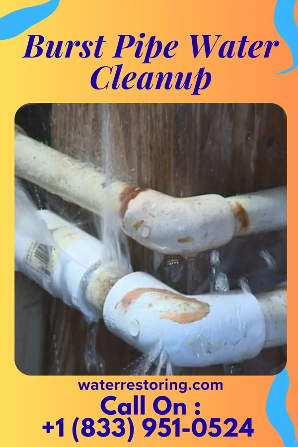 Burst Pipe Water Cleanup in Ten Sleep, WY