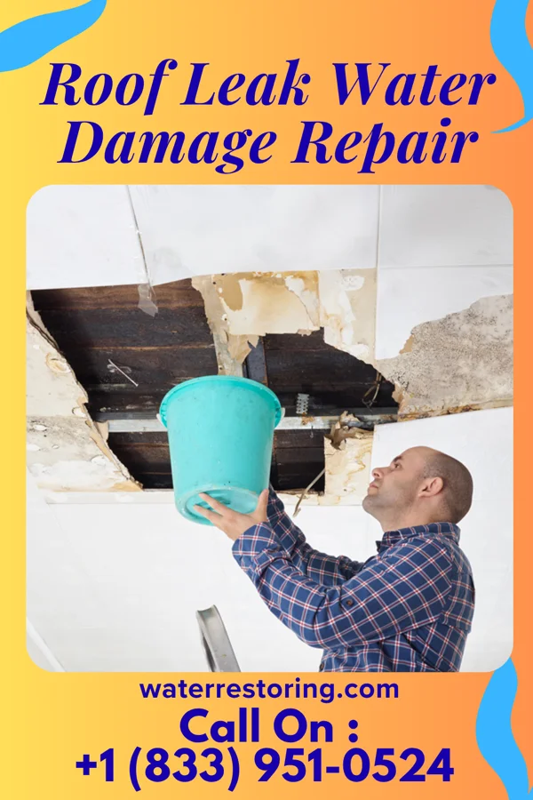 Roof Leak Water Damage Repair in Ten Sleep, WY